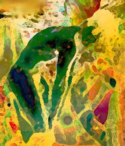 LOUD.jpg (33157 bytes)