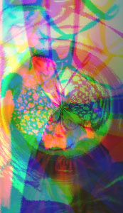 MOLLIE MEMORY.jpg (30025 bytes)