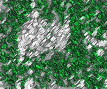 MOVEMENT.jpg (104326 bytes)