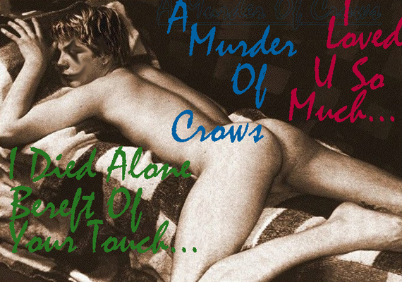 MURDER OF CROWS.jpg (273589 bytes)