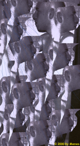 NAKED MORNINGS.jpg (64474 bytes)