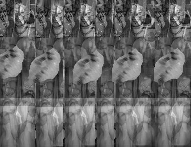 RECIPROCAL RECIDIVISM.jpg (52860 bytes)