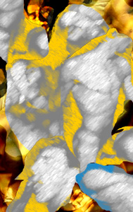 RHAPSODY.jpg (44401 bytes)