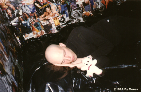 TEDDY BEAR PLAGUE.jpg (145869 bytes)