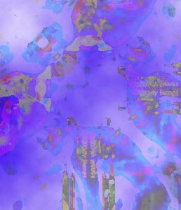 VERDANT SKY.jpg (21845 bytes)