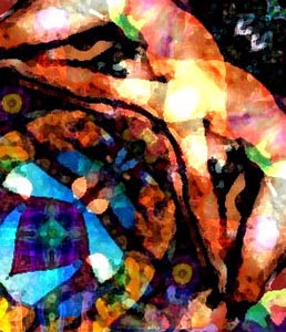 WHEELCHAIR MAN.jpg (38119 bytes)