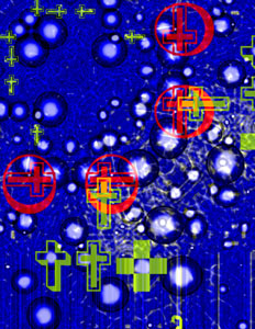 WITCH WATER.jpg (51641 bytes)